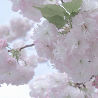 Furry绘画细节技巧Furry群